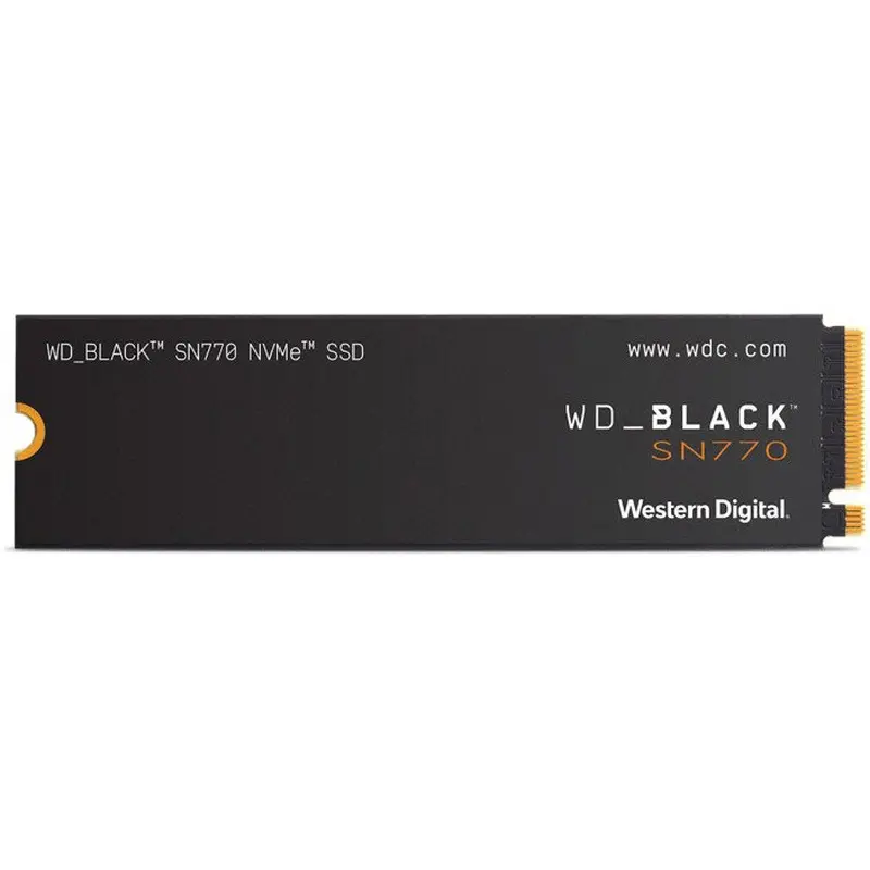 WDS250G3X0E 1
